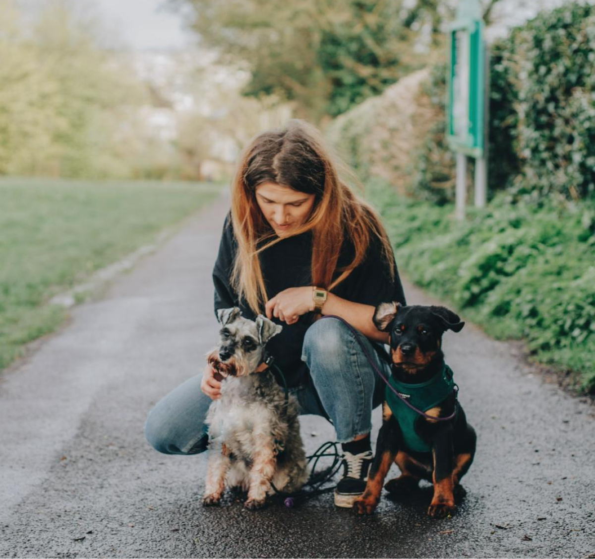 A photo of a dog and a puppy in a park with a dog trainer