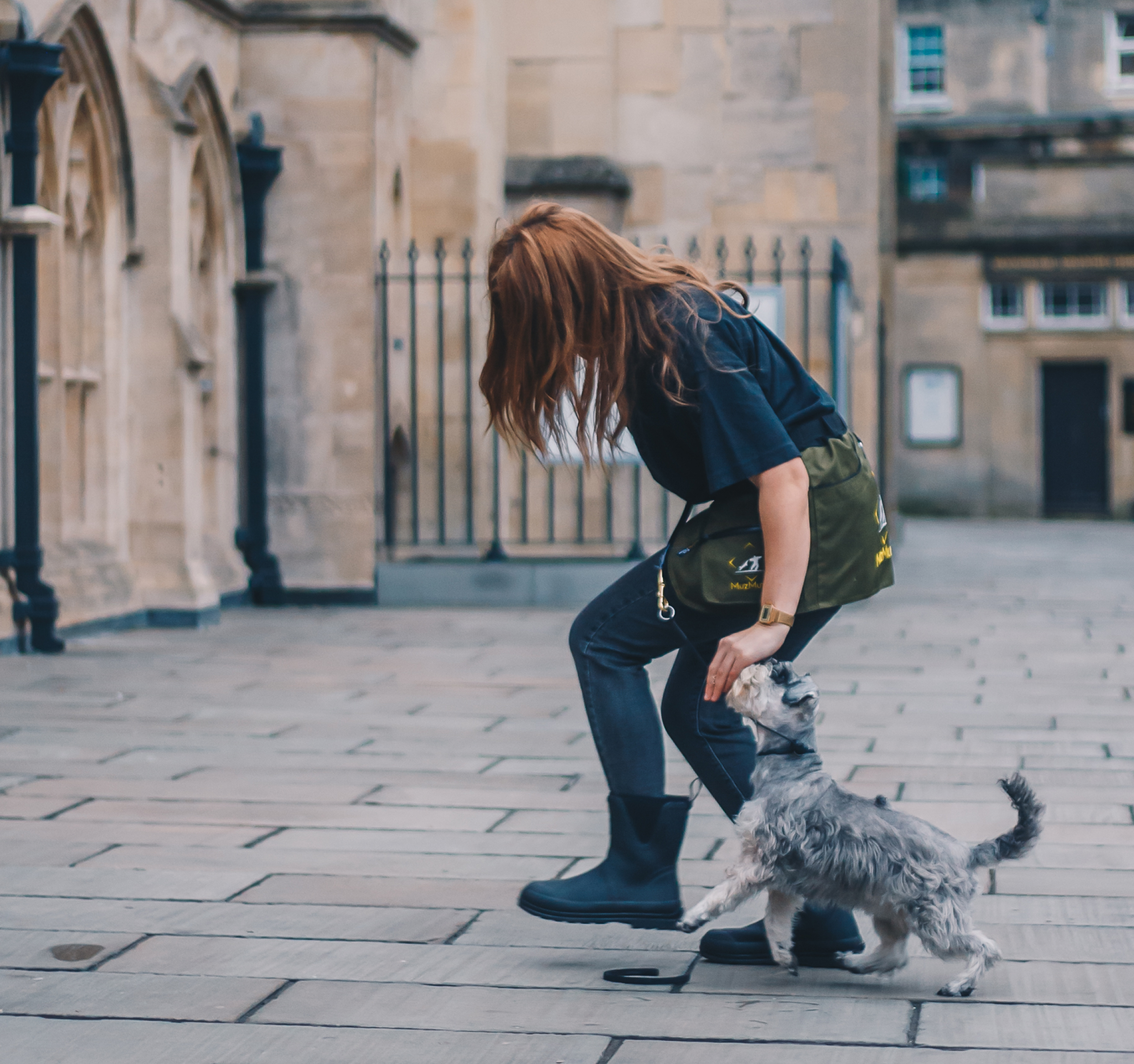 A photo showing a dog being trained on a walk